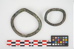 Foto von Bronzering (NHMW-PRAE-026327)